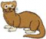 Ferret