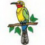 White Fronted Bee Eater