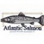 Atlantic Salmon
