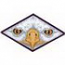 Eagle Eyes