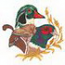 Gambel's Quail, Pheasant & Wood Duck Heads
