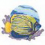 Emperor Angelfish