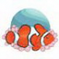 Clown Fish