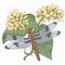 Twelve Spot Skimmer / Tufted Loosestrife