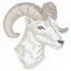 Bighorn Sheep