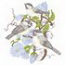 Chickadee Scene