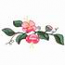 Flower Vine