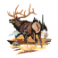 ELK