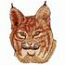 Bobcat
