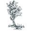 TOILE