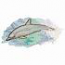 Splashing Dolphin