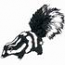 Spotted Skunk