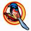 Fairy-Wren