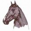 Tennessee Walker
