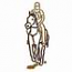 Endurance Riding