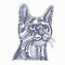 Russian Blue