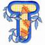 T Applique