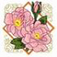 Apothecary Rose
