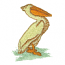 PELICAN