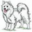 American Eskimo Dog