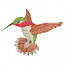HUMMINGBIRD