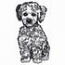 Poodle