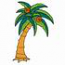Palm Tree