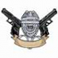 Badge w/Guns
