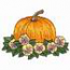 Pumpkin in Pansies