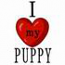 I Love My Puppy