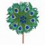 Peacock Feather Fan 2