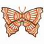 Sun Ray Butterfly