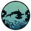 Hammerhead Shark