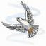 Siamese White Pigeon
