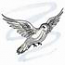 Black & White Warbler
