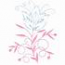 Sky Flower