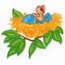 Chick in the Nest