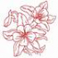Columbine