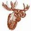 Moose Head