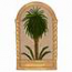 Palm Design