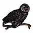 OWL SMALL
