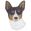 Rat Terrier