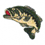 BIG MOUTH BASS