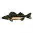 WALLEYE