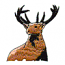 BUCK DEER