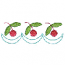 CHERRY BORDER
