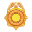 OFFICIAL BADGE
