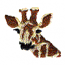 GIRAFFE HEAD