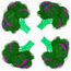Broccolisq2