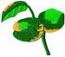 fu0204c1